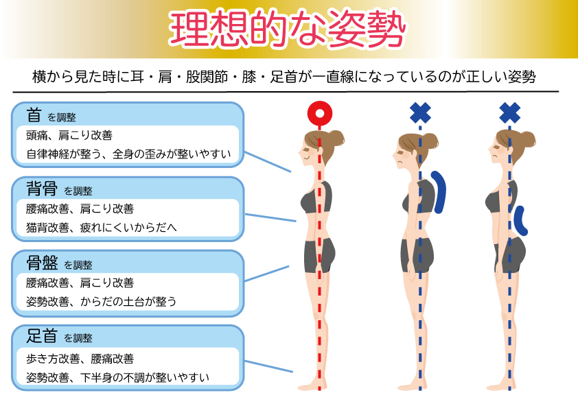 理想的な姿勢